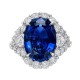 Mayors Platinum 10.16cttw Oval Cut Sapphire and 3.22cttw Diamond Halo Engagement Ring - Size 6 SP332