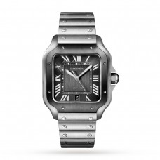 Cartier Santos De Cartier Watch Large Model, Automatic Movement, Steel, ADLC, Interchangeable Metal And Rubber Bracelets WSSA0037