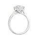 Mayors Platinum 3.07cttw Brilliant Cut Solitaire Engagement Ring - Size 6.5 1R3929O-NXC746