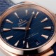 Omega Seamaster Aquaterra 41 Mens Watch O22052412103001