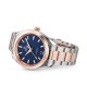 Omega Aquaterra Ladies Watch O22020342003001