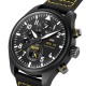 IWC Pilot's Watch Chronograph Edition “Royal Maces” IW389107