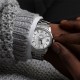 Grand Seiko Yuki Gesho Snow Covered Scenery Hi-Beat GMT SBGJ271