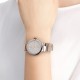 Bvlgari LVCEA 33mm Silver Dial Steel Strap Ladies Watch 102197