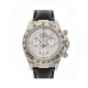 Pre-Owned Rolex Daytona Cosmograph 116519