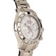 Pre-Owned Rolex Daytona Cosmograph 116509