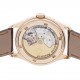 Pre-Owned Patek Philippe Complications Annual Calendar Advanced Research 5350R-001