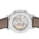 Pre-Owned Patek Philippe Grand Complications Sky Moon Celestial 5102G-001